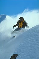 Image of Skier
